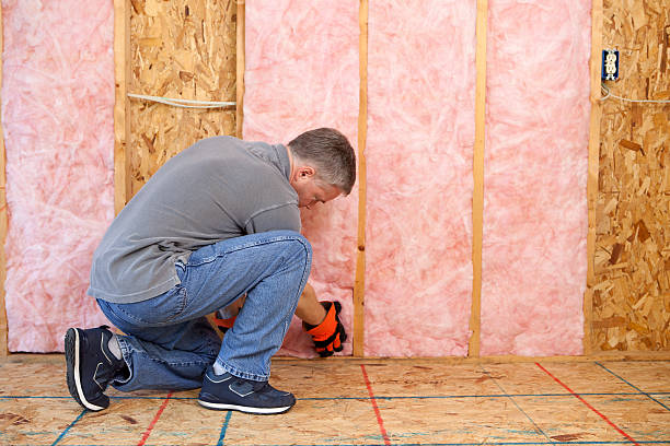 Best DIY Insulation Kits and Guidance in Harvard, IL
