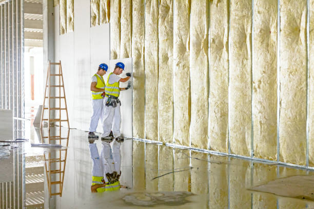Best Eco-Friendly Insulation in Harvard, IL